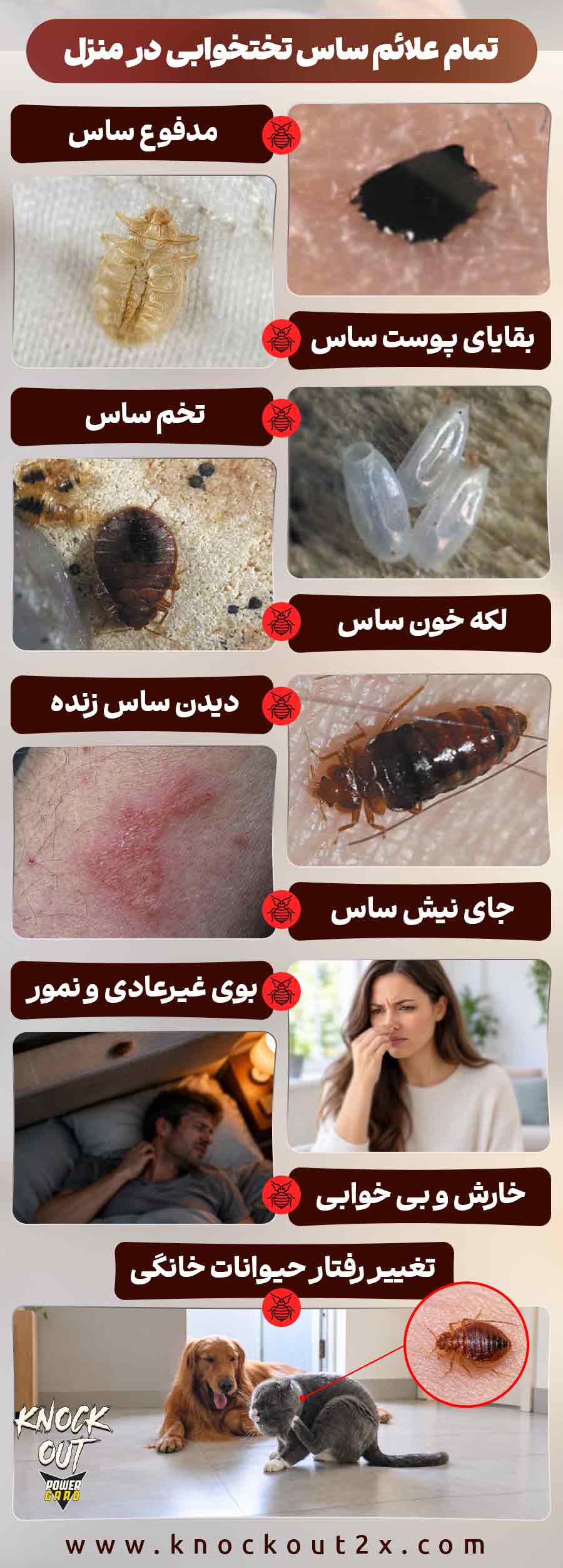 ساس 02
