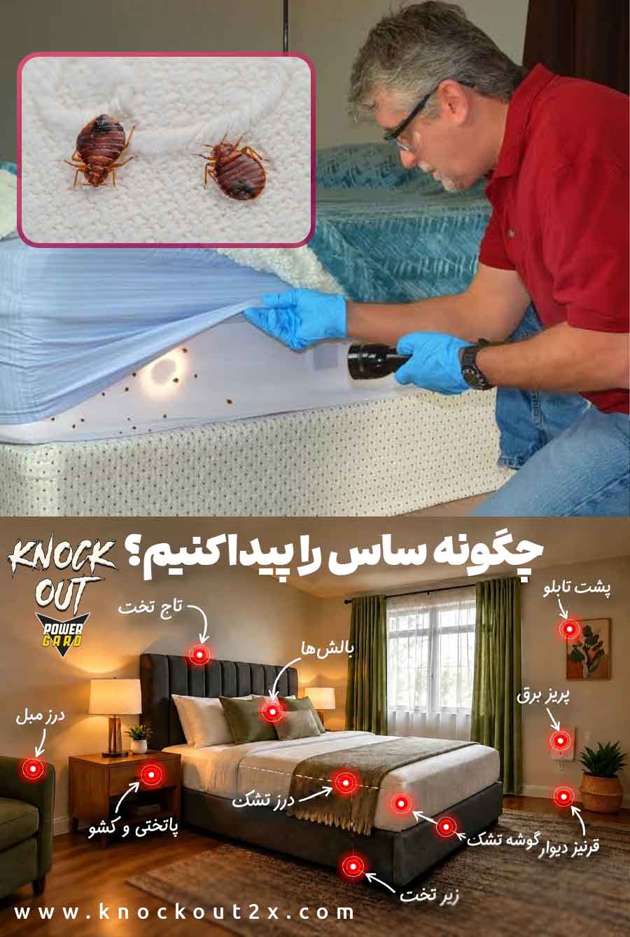 ساس 04