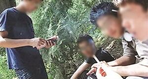 هشدار درباره رشد مصرف گل و سندروم بی‌انگیزگی