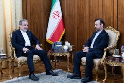 تأکید عراقچی بر پیگیری حقوق ایران در نهادهای بین‌المللی

