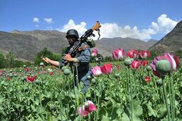 اصلاحات قانونی و کاهش مصادیق اعدام در دستور کار