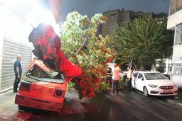 هشدار وقوع طوفان در تهران
