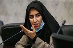  نماینده مجلس: امید آمریکا به اشتباهات داخلی ماست
