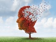 نقش سلول‌های مغزی در کاهش توانایی‌های شناختی سالمندان
