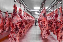 آخرین قیمت گوشت قرمز؛ امروز یکشنبه 25 مرداد 1405