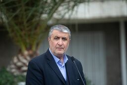  آمریکا مانع شرکت محمد اسلامی در نشست آژانس شد