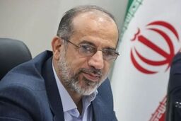 نماینده مجلس:  به هیچ وجه لیبی نخواهیم شد