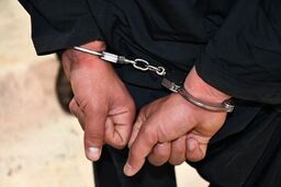 ویدئویی از دستگیری سارقان خشن در تهران