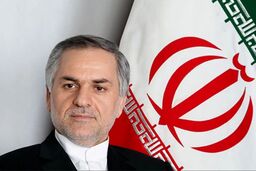 نوش‌آبادی: توافق قاهره کاملا با قانون تعلیق همکاری با آژانس منطبق است 