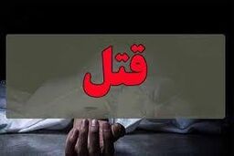 قصاص برای عامل قتل در نزاع پارک چیتگر