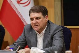 زینی‌وند: مشارکت در انتخابات، پیوندی مستقیم با امنیت ملی دارد