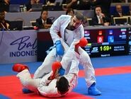 کاراته ایران نایب قهرمان آسیا شد