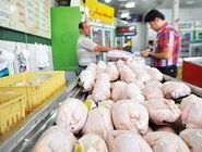 ایران به عراق و افغانستان مرغ صادر می‌کند