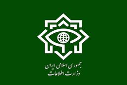 گزارش وزارت اطلاعات از دستگیری‌ها در 3 استان