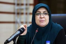 واکنش سخنگوی دولت به برخی هجمه‌ ها علیه رئیس جمهور