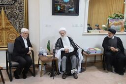 توصیه‌های آیت‌الله بیات زنجانی به محمدرضا عارف: دولت زخم دی‌ماه را ترمیم کند