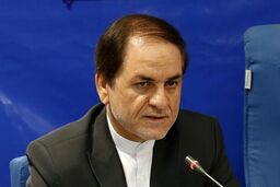 نوش‌آبادی: ۹۰ درصد ایرانیان مقیم خارج به وطن خود دلبستگی دارند