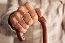 بیش از ۳۰ درصد ایرانی‌ها تا سال ۱۴۳۰ سالمند می‌شوند
