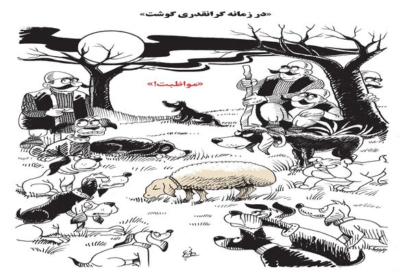 گرانقدری گوشت/ کاریکاتور احمد عربانی