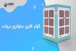 بروات تولید کننده برتر لوزارم خانگی