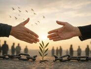 اهتمام به صلح و آشتی در جامعه