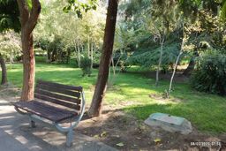 چمن سبز ، متهم به نابودی آب تهران