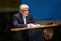 ایروانی: تهران میزبان میلیون‌ها پناهجوی افغان بوده‌؛ بار این مسئولیت سنگین است