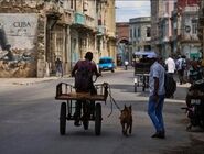 آنچه بر اقتصاد و تاریخ کوبا گذشت؛ چگونه چپ افراطی، اقتصاد یک کشور را نابود کرد؟
