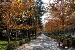 پیش‌بینی وضعیت آب‌وهوا؛ امروز دوشنبه اول دی 1404