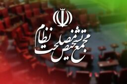 پایان بررسی بندهای پالرمو و CFT در مجمع تشخیص مصلحت نظام