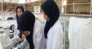 مشارکت ۲.۴ میلیون دانش‌آموز در جشنواره خوارزمی و آغاز سیزدهمین طرح ملی مهارت