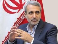 نماینده مجلس: نادیده گرفتن قدرت تهران به زیان قاره سبز است