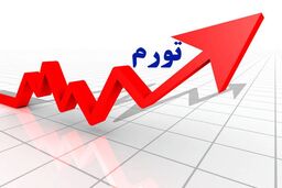 پیش بینی سازمان برنامه و بودجه از نرخ تورم تا پایان سال 1406 