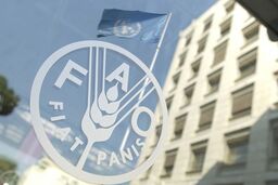 افزایش قیمت جهانی مواد غذایی بر اثر جنگ و بحران‌های اقلیمی