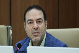 تأکید معاون بهداشت وزارت بهداشت بر ضرورت مداخلات هدفمند برای مقابله با کاهش ولادت و ازدواج

