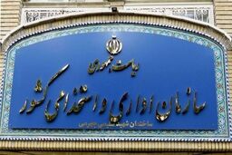 توضیحات مهم رئیس سازمان اداری استخدامی درباره وضعیت کارمندان