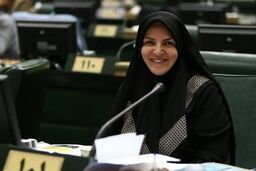 مشاور رئیس جمهور: باید از اقتصاد مقاومتی عبور کنیم و وارد اقتصاد تهاجمی شویم