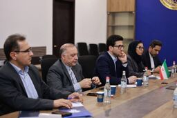 رایزنی معاون وزیر نفت ایران در ایروان