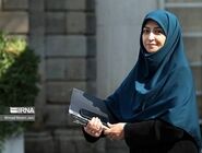 رئیس سازمان محیط زیست راهی اجلاس وزیران بریکس در هند شد