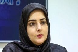 معاون دفتر هیات دولت: درباره بحران‌های اصلی ایران «توافق نسبی» وجود دارد