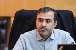 نماینده مجلس: «اسنپ بک» موضوع جدیدی را به تحریم‌ها اضافه نمی‌کند