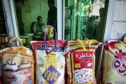 عقب‌نشینی قیمت‌ها در بازار کالاهای اساسی؛ عرضه برنج پاکستانی از نرخ مبدأ ارزان‌تر شد