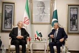 لاریجانی با رئیس جمهور و نخست وزیر پاکستان دیدار کرد
