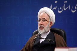 تشکیل پرونده شخصیت برای متهمین ناآرامی‌های اخیر