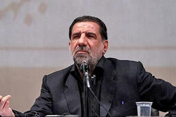 کوثری: از همان ابتدا به ترجمه متن برجام تردید داشتیم