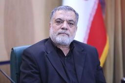 نماینده مجلس: اجرای مکانیسم ماشه هیچ تاثیری روی زندگی و معیشت مردم نخواهد گذاشت
