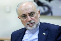 صالحی: توافق ایران و آژانس فی‌نفسه مثبت و رو به جلو است