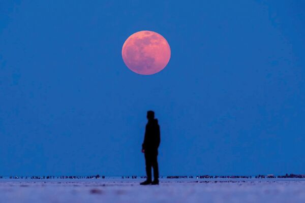 ماه را برای دیوانه‌ها بگذارید/درباره عکسی از خسوف خونین