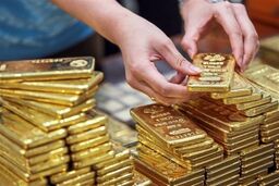 آخرین جزئیات از مرحله جدید حراج شمش طلا 
