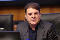 زینی‌وند: دولت دنبال اصلاح قانون احزاب و انتخابات است